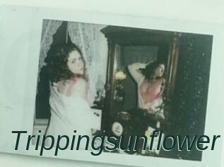 Trippingsunflower