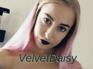 VelvetDaisy
