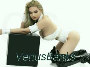 VenusBanks