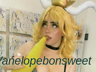 Vanelopebonsweet