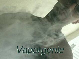 Vapor_genie