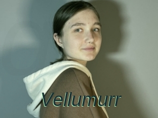 Vellumurr