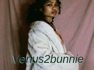 Venus2bunnie