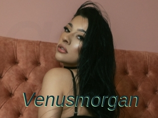 Venusmorgan