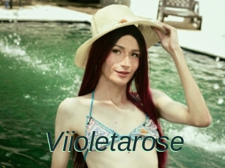 Viioletarose