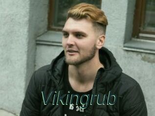 Vikingrub
