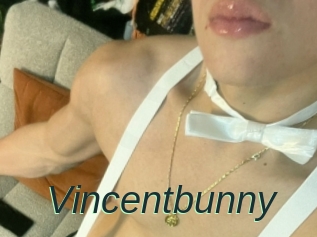 Vincentbunny