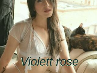 Violett_rose