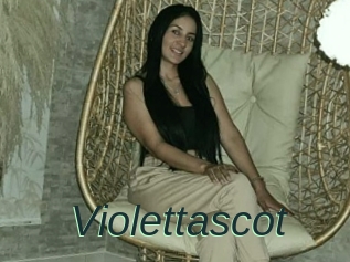 Violettascot