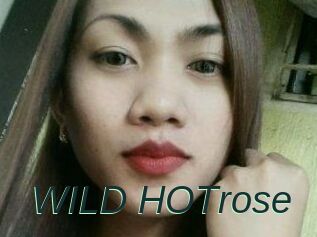 WILD_HOTrose