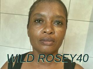 WILD_ROSEY40