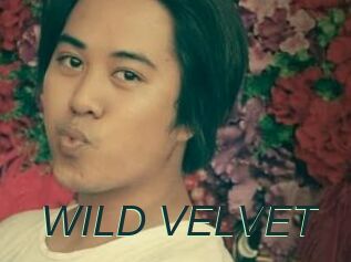 WILD_VELVET