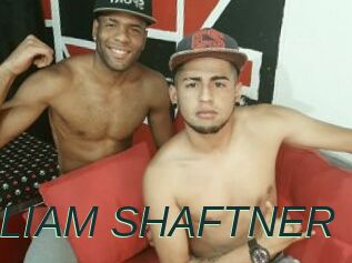 WILLY_HIT_AND_WILLIAM_SHAFTNER