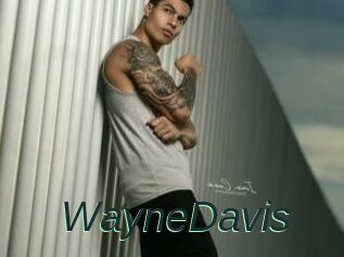 WayneDavis