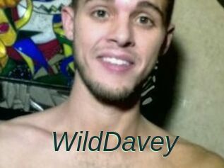 WildDavey