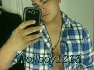 Wolfboy1213