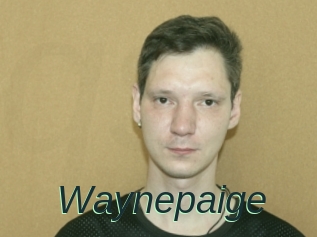 Waynepaige