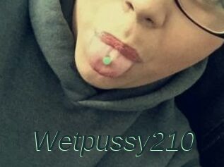 Wetpussy210