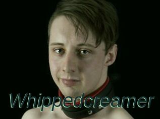 Whippedcreamer