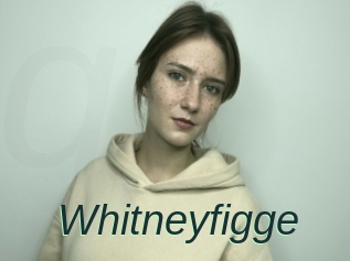 Whitneyfigge