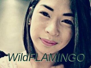 WildFLAMINGO