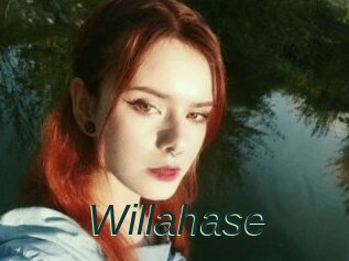 Willahase