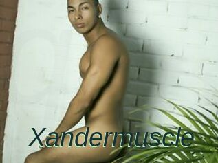 Xandermuscle