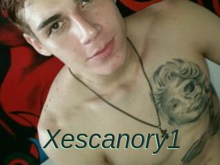 Xescanory1