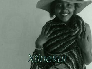 Xtinekui