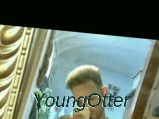 YoungOtter