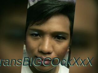 YourTransBIGCOckXxX