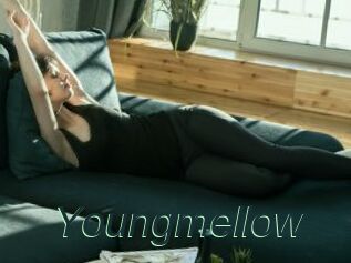 Youngmellow
