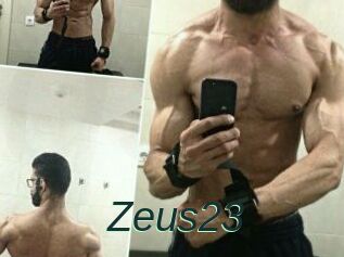 Zeus23