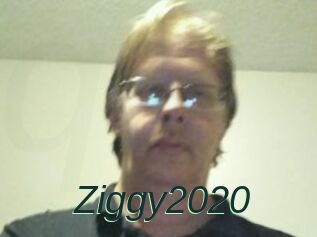 Ziggy2020