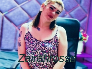 Zairahrosse