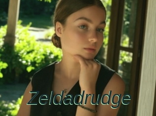 Zeldadrudge